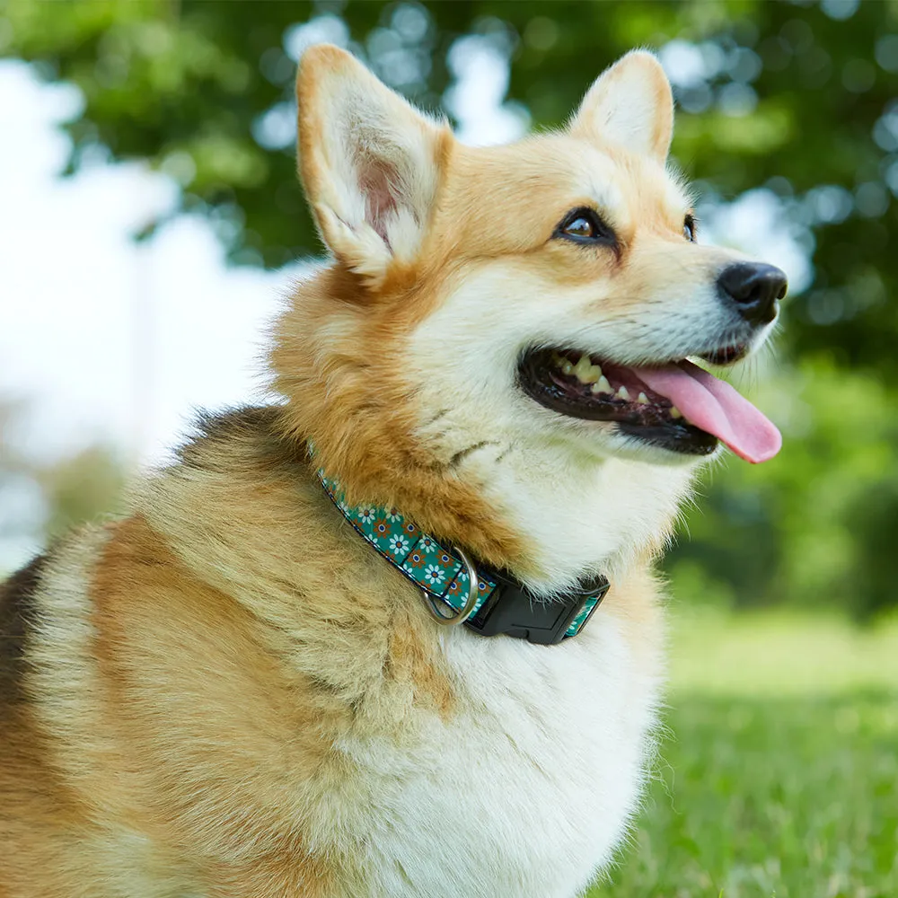 Academy Navy/Blue - Dog Collar