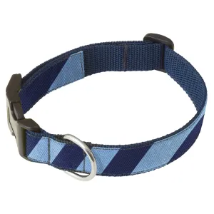 Academy Navy/Blue - Dog Collar