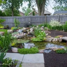 Aquascape Medium Pond Kit 11' x 16'