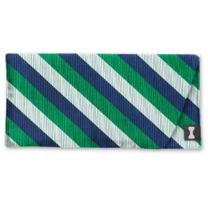 Billings Brook - Eyeglass Cases
