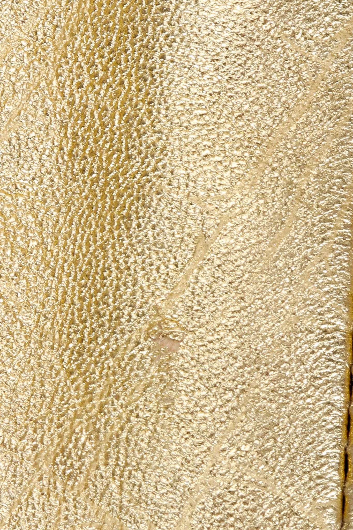 Gold Leather Lamé Jacket & Skirt Set
