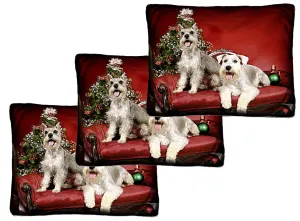 Large Woven Photo Pillows -Volume Discounts