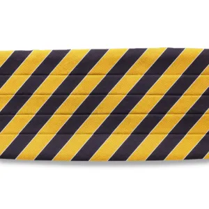 Scholastic Navy/Gold - Cummerbunds